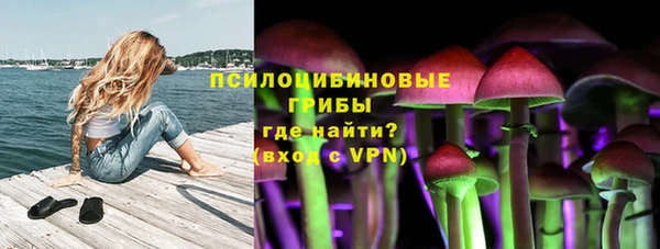 PSILOCYBIN Армянск