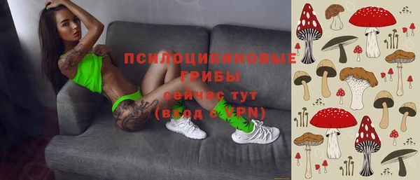МДПВ Аркадак